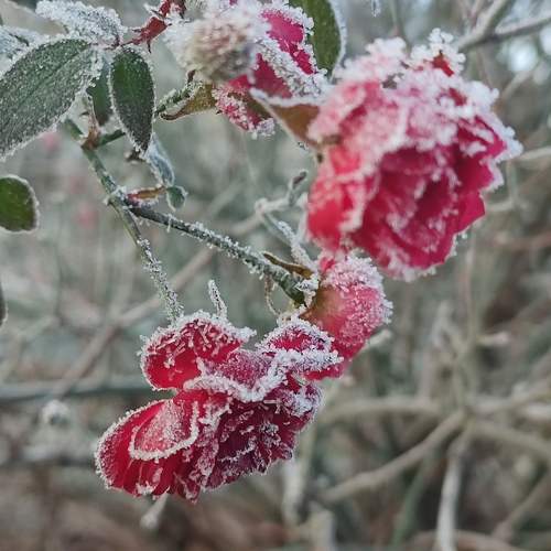 Photo #11679508