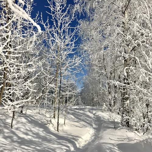 Photo #11679860