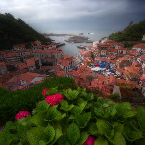 Фотография #11679866