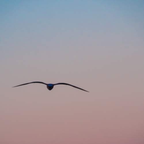 Photo #11680631
