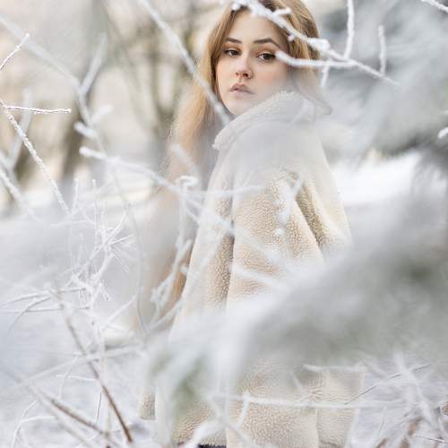 Photo #11680877