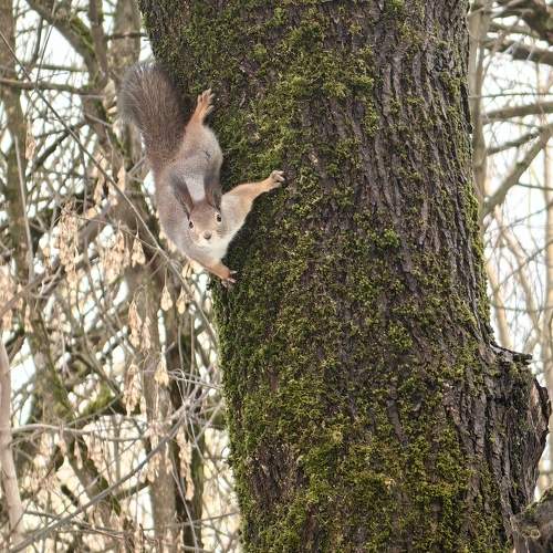 Photo #11680945