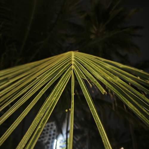Photo #11680982