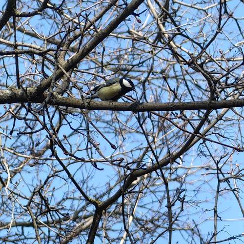 Photo #11680986