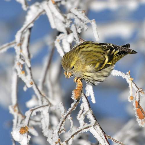 Photo #11681210
