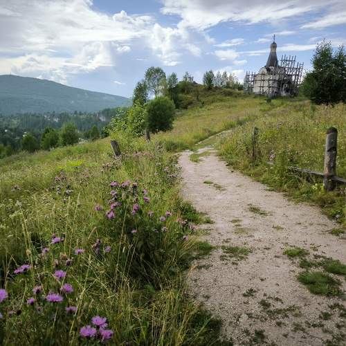 Photo #11681272