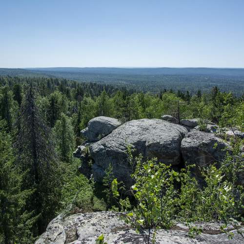 Photo #11681284