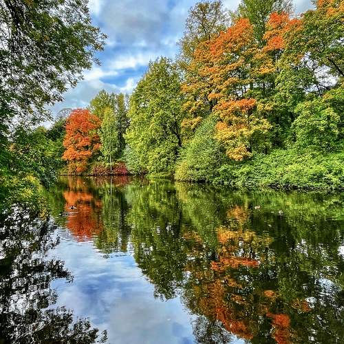 Photo #11681444