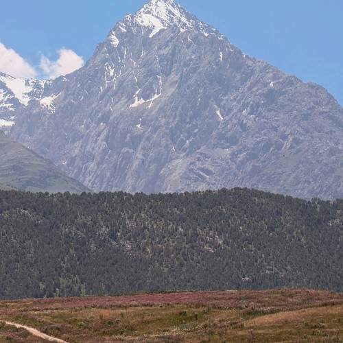 Photo #11681475