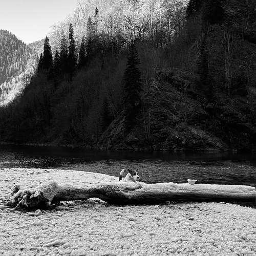 Photo #11681664