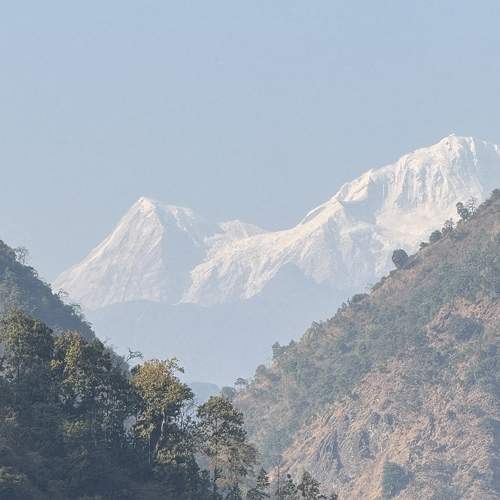 Photo #11681739