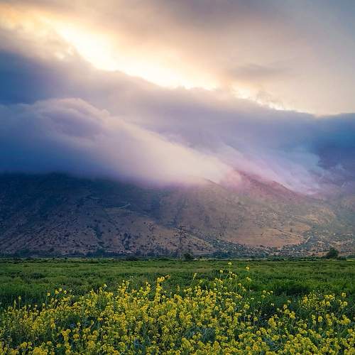 Photo #11682027