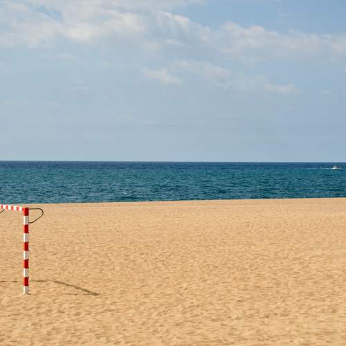 Photo #11682085