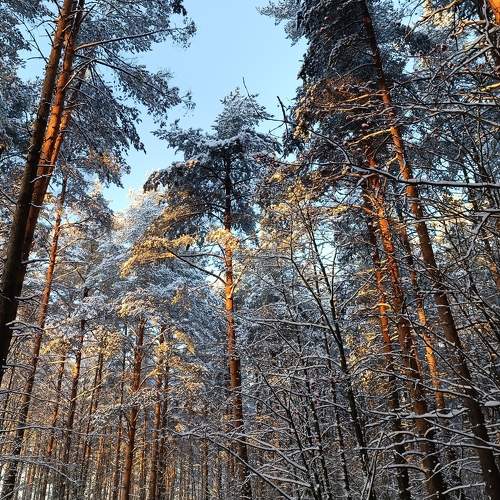 Photo #11682316
