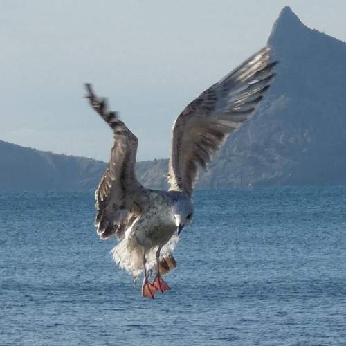 Photo #11682909