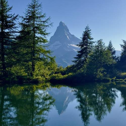 Photo #11683103