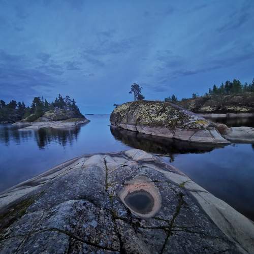 Photo #11683219