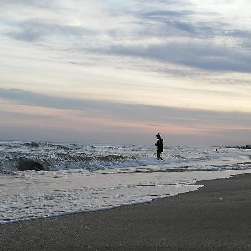 Photo #11683381