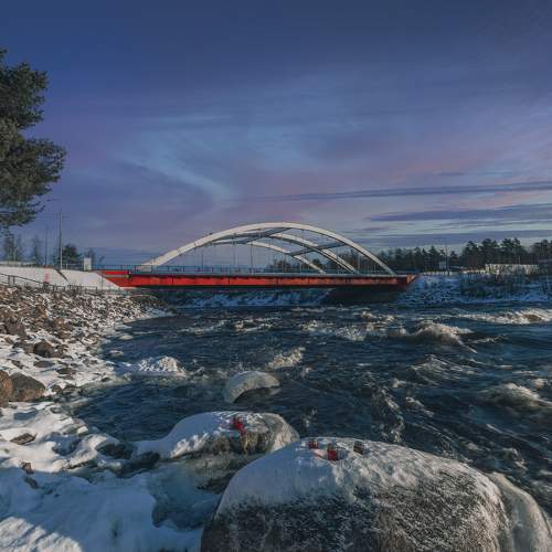 Photo #11683383