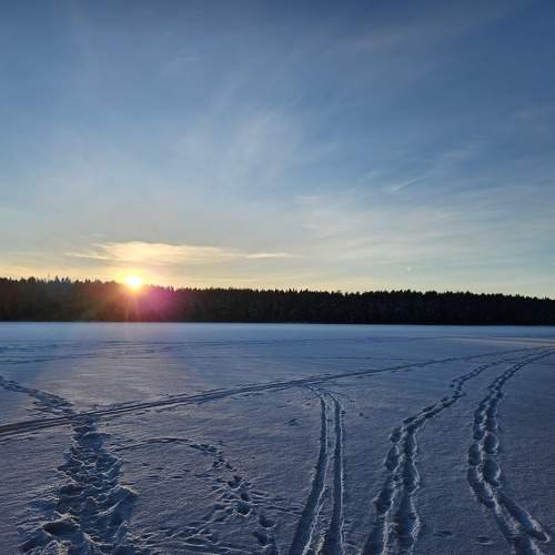 Photo #11683429
