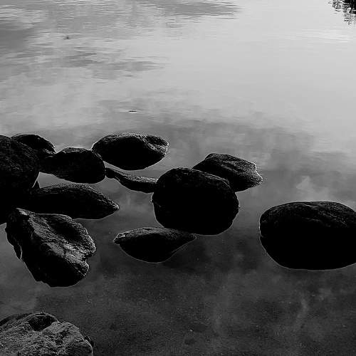 Photo #11683672