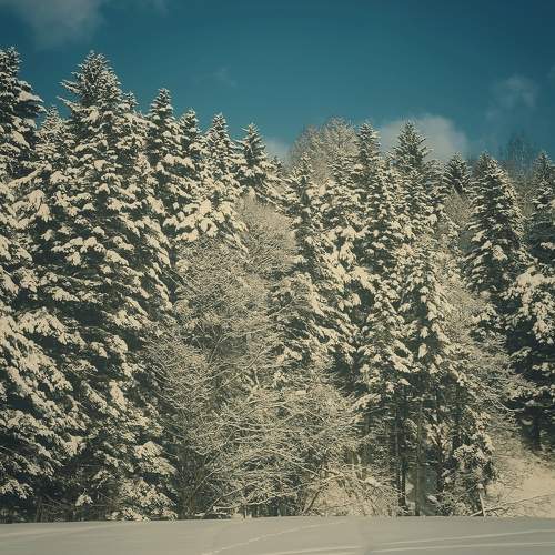 Photo #11684144