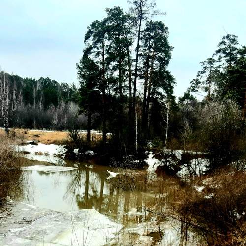 Photo #11684228