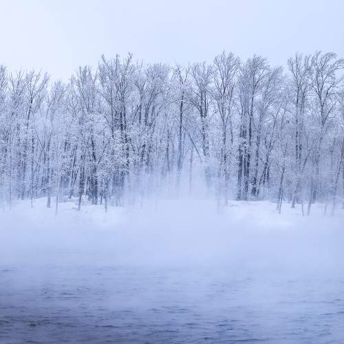 Photo #11684324