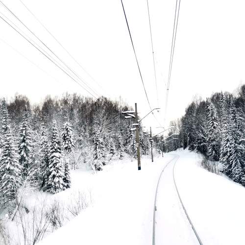 Photo #11684431