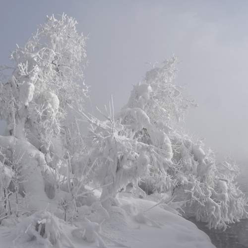 Photo #11684475