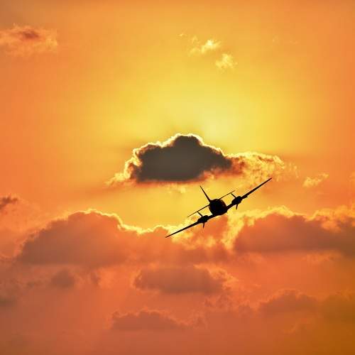 Flying show