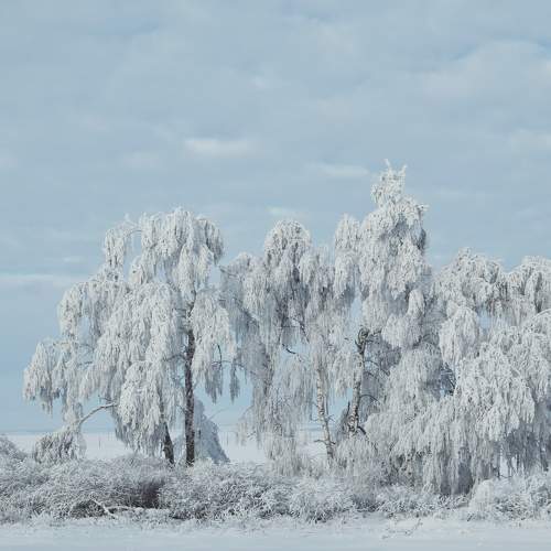 Photo #11684849