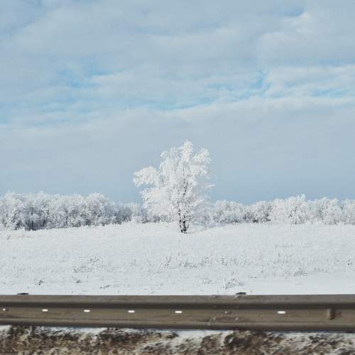 Photo #11684859