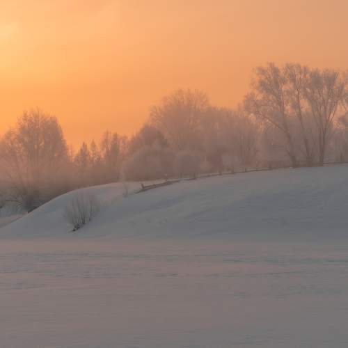 Photo #11685248