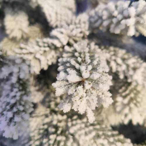 Photo #11685282