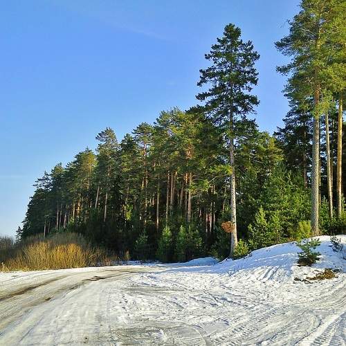 Photo #11685380