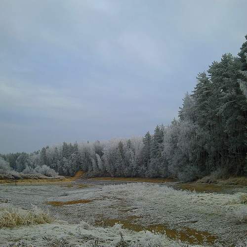 Photo #11685384
