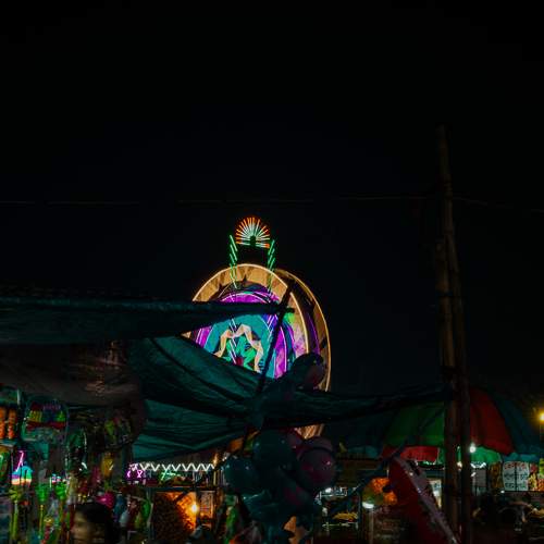 Photo #11685664