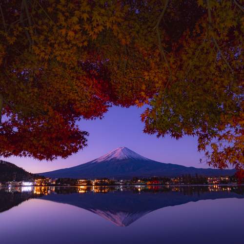 Photo #11685863