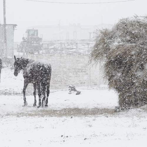 Photo #11686187