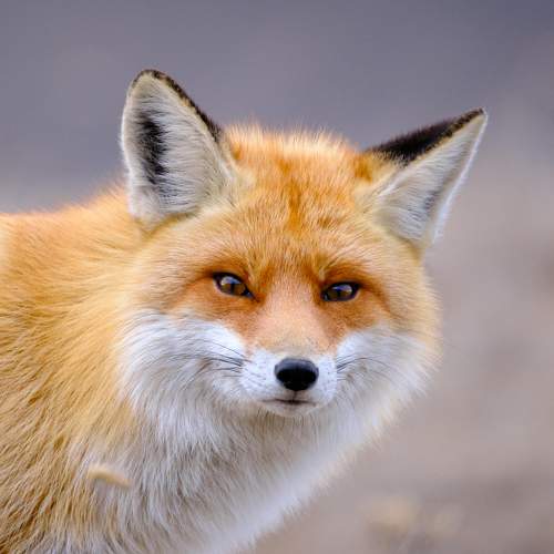 Photo #11686551
