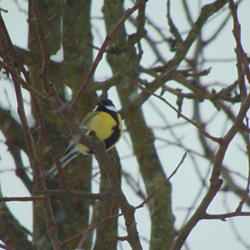 Photo #11686807