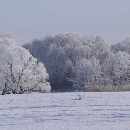 Photo #11686878