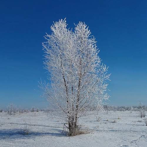 Photo #11686894