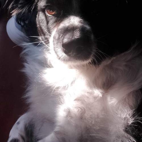 Photo #11687067