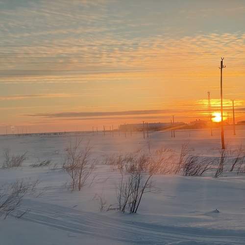 Photo #11687099