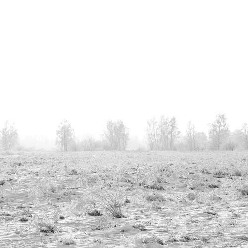 Photo #11687201