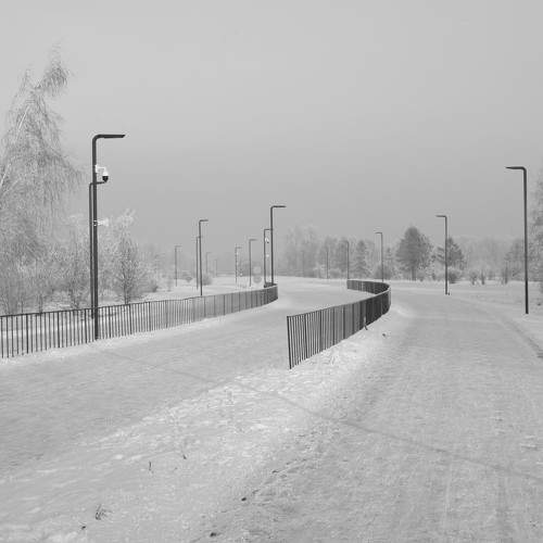 Photo #11687202