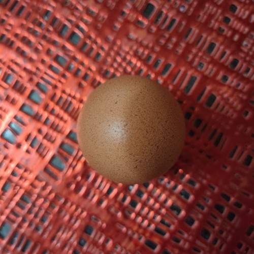 Photo #11687276