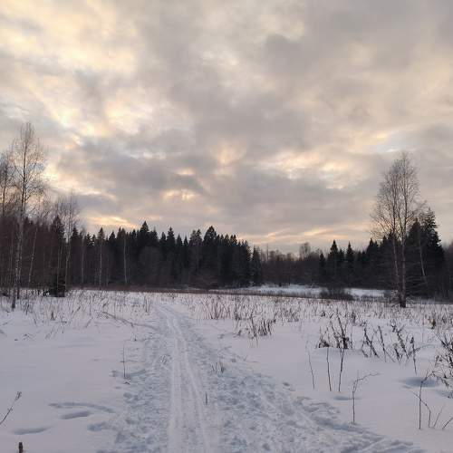 Дорога в никуда